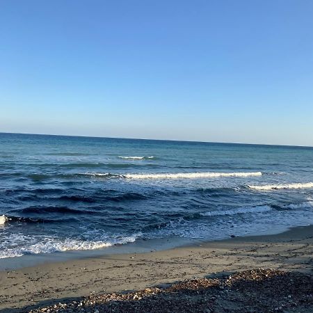סנטה-לוסיה-די-מוריאני Studio Bord De Mer מראה חיצוני תמונה